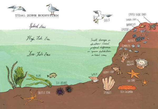 Ocean Anatomy: The Curious Parts & Pieces of the World under the Sea