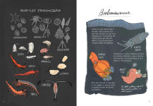 Alternative view 9 of Ocean Anatomy: The Curious Parts & Pieces of the World under the Sea