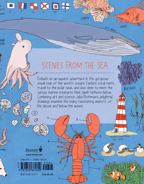 Ocean Anatomy: the Curious Parts & Pieces of World under Sea