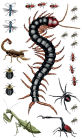 Alternative view 5 of Creepy, Crawly Tattoo Bugs: 60 Temporary Tattoos That Teach