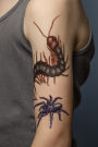 Alternative view 9 of Creepy, Crawly Tattoo Bugs: 60 Temporary Tattoos That Teach