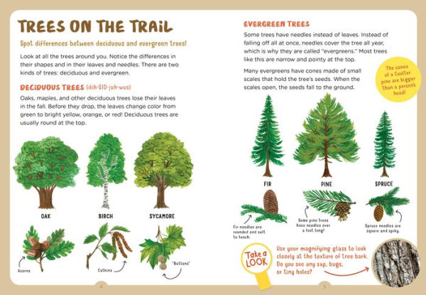 Backpack Explorer: On the Nature Trail: What Will You Find?