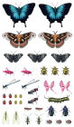 Alternative view 4 of Fluttery, Friendly Tattoo Butterflies and Other Insects: 81 Temporary Tattoos That Teach