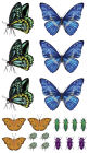 Alternative view 10 of Fluttery, Friendly Tattoo Butterflies and Other Insects: 81 Temporary Tattoos That Teach