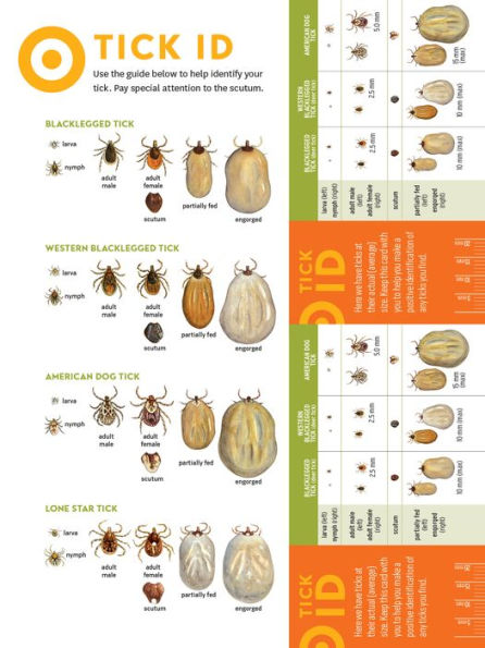 Preventing Lyme & Other Tick-Borne Diseases: Control Ticks the Home Landscape; Prevent Infection Using Herbal Protocols; Treat Tick Bites with Natural Remedies