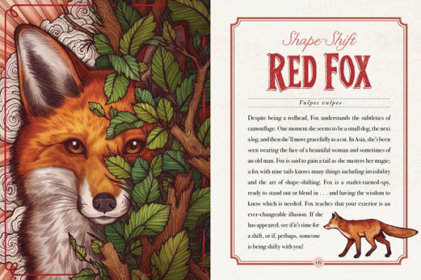 The Illustrated Bestiary: Guidance and Rituals from 36 Inspiring Animals