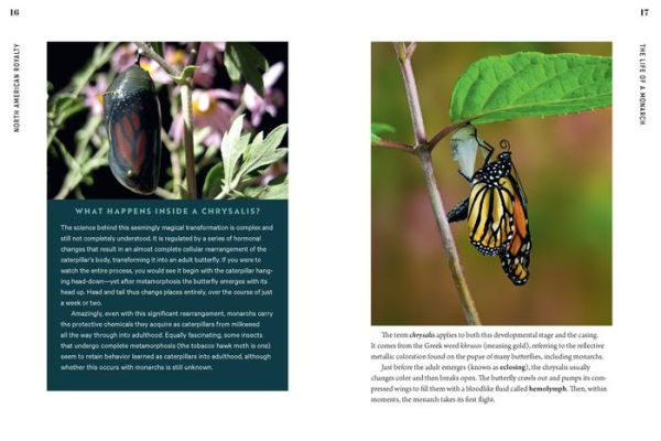 100 Plants to Feed the Monarch: Create a Healthy Habitat to Sustain North America's Most Beloved Butterfly