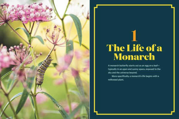 100 Plants to Feed the Monarch: Create a Healthy Habitat to Sustain North America's Most Beloved Butterfly