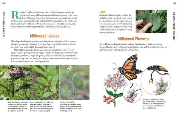 100 Plants to Feed the Monarch: Create a Healthy Habitat to Sustain North America's Most Beloved Butterfly