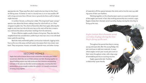 The Love Lives of Birds: Courting and Mating Rituals