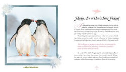 Alternative view 3 of The Love Lives of Birds: Courting and Mating Rituals