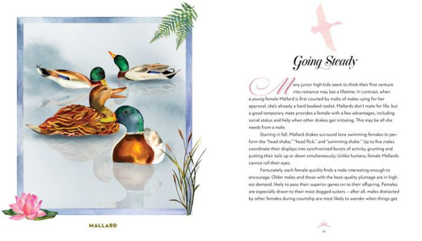 The Love Lives of Birds: Courting and Mating Rituals