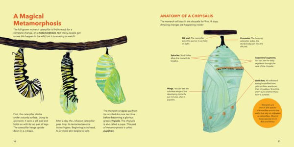 Monarch Butterflies: Explore the Life Journey of One of the Winged Wonders of the World