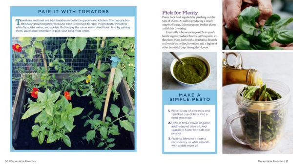 GrowVeg: The Beginner's Guide to Easy Vegetable Gardening