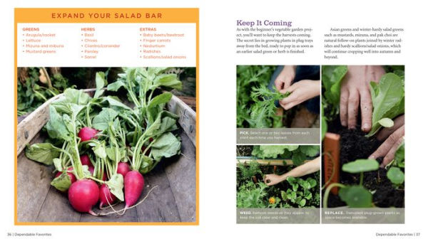 GrowVeg: The Beginner's Guide to Easy Vegetable Gardening