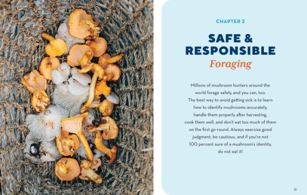 How to Forage for Mushrooms without Dying: An Absolute Beginner's Guide Identifying 29 Wild, Edible