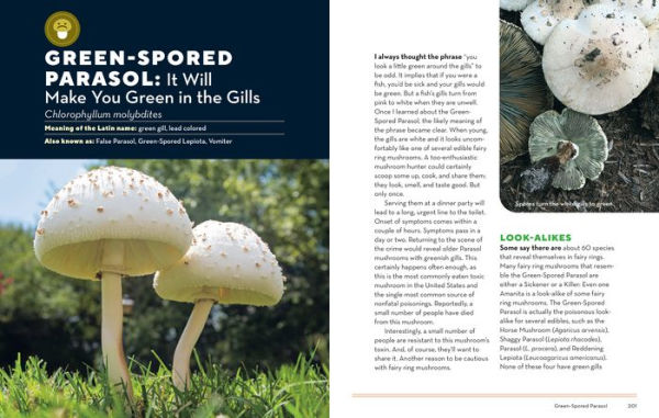 How to Forage for Mushrooms without Dying: An Absolute Beginner's Guide Identifying 29 Wild, Edible