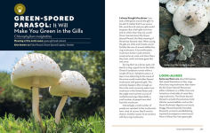 Alternative view 8 of How to Forage for Mushrooms without Dying: An Absolute Beginner's Guide to Identifying 29 Wild, Edible Mushrooms