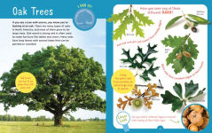 Alternative view 2 of Backpack Explorer: Discovering Trees: What Will You Find?