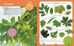 Alternative view 3 of Backpack Explorer: Discovering Trees: What Will You Find?