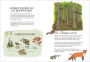 Alternative view 2 of Wildlife Anatomy: The Curious Lives & Features of Wild Animals around the World