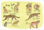 Alternative view 3 of Wildlife Anatomy: The Curious Lives & Features of Wild Animals around the World