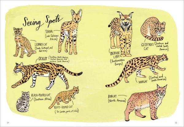 Wildlife Anatomy: The Curious Lives & Features of Wild Animals around the World