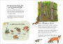 Alternative view 8 of Wildlife Anatomy: The Curious Lives & Features of Wild Animals around the World