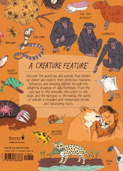 Wildlife Anatomy: the Curious Lives & Features of Wild Animals around World
