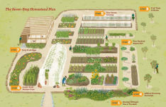 Alternative view 7 of The Seven-Step Homestead: A Guide for Creating the Backyard Microfarm of Your Dreams