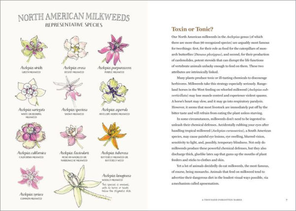 The Milkweed Lands: An Epic Story of One Plant: Its Nature and Ecology