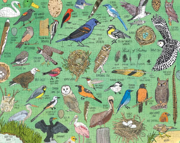 Nature Anatomy: Birds Puzzle (500 pieces)