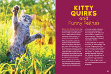 Alternative view 3 of The Cat Behavior Answer Book, 2nd Edition: Understanding How Cats Think, Why They Do What They Do, and How to Strengthen Our Relationships with Them