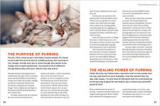 Alternative view 5 of The Cat Behavior Answer Book, 2nd Edition: Understanding How Cats Think, Why They Do What They Do, and How to Strengthen Our Relationships with Them