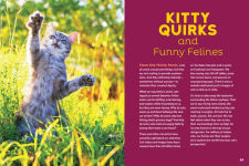 Alternative view 6 of The Cat Behavior Answer Book, 2nd Edition: Understanding How Cats Think, Why They Do What They Do, and How to Strengthen Our Relationships with Them
