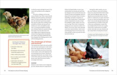 Alternative view 8 of Let's All Keep Chickens!: The Down-to-Earth Guide to Natural Practices for Healthier Birds and a Happier World