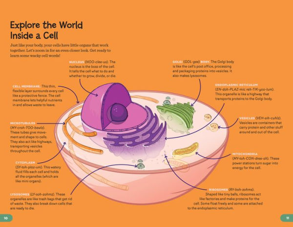 Human Body Learning Lab: Take an Inside Tour of How Your Anatomy Works