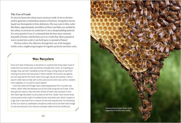 Heart of the Hive: Inside the Mind of the Honey Bee and the Incredible Life Force of the Colony