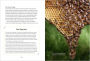 Alternative view 5 of Heart of the Hive: Inside the Mind of the Honey Bee and the Incredible Life Force of the Colony