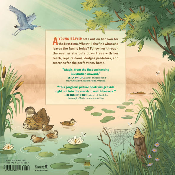 What Goes on inside a Beaver Pond?