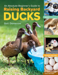 Title: An Absolute Beginner's Guide to Raising Backyard Ducks: Breeds, Feeding, Housing and Care, Eggs and Meat, Author: Gail Damerow