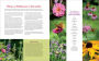 Alternative view 8 of The Garden Maker's Book of Wonder: 162 Recipes, Crafts, Tips, Techniques, and Plants to Inspire You in Every Season