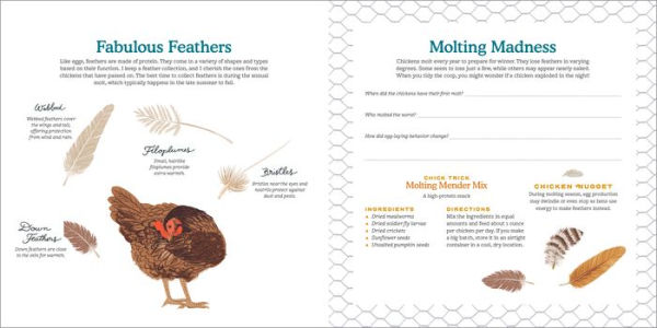 My Chicken Family: A Keepsake Album, Ready to Fill with Stories and Pictures of Your Flock!