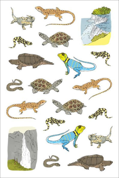 Nature Anatomy Sticker Book - Mini Mad Things