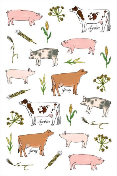 Farm Anatomy Sticker Book: A Julia Rothman Creation; More than 750 Stickers