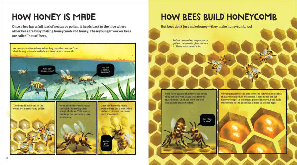 Akeem Keeps Bees!: A Close-Up Look at the Honey Makers and Pollinators of Sankofa Farms