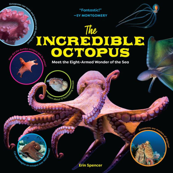 the Incredible Octopus: Meet Eight-Armed Wonder of Sea
