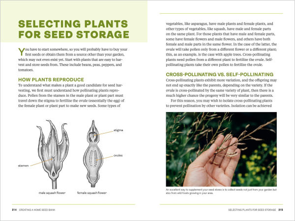 Survival Gardening: Grow Your Own Emergency Food Supply, from Seed to Root Cellar