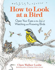 Books google free download How to Look at a Bird: Open Your Eyes to the Joy of Watching and Knowing Birds by Clare Walker Leslie