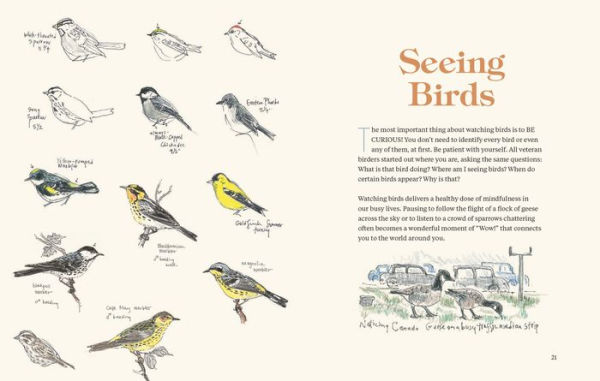 How to Look at a Bird: Open Your Eyes to the Joy of Watching and Knowing Birds